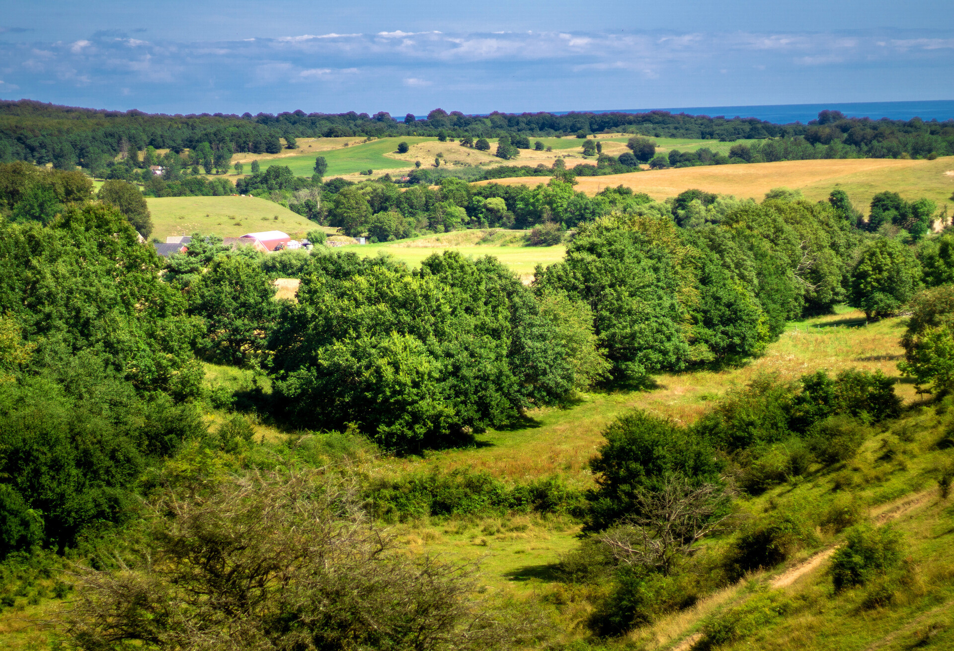 DEST_SWEDEN_Brösarp-HILLS_GettyImages-1186051518