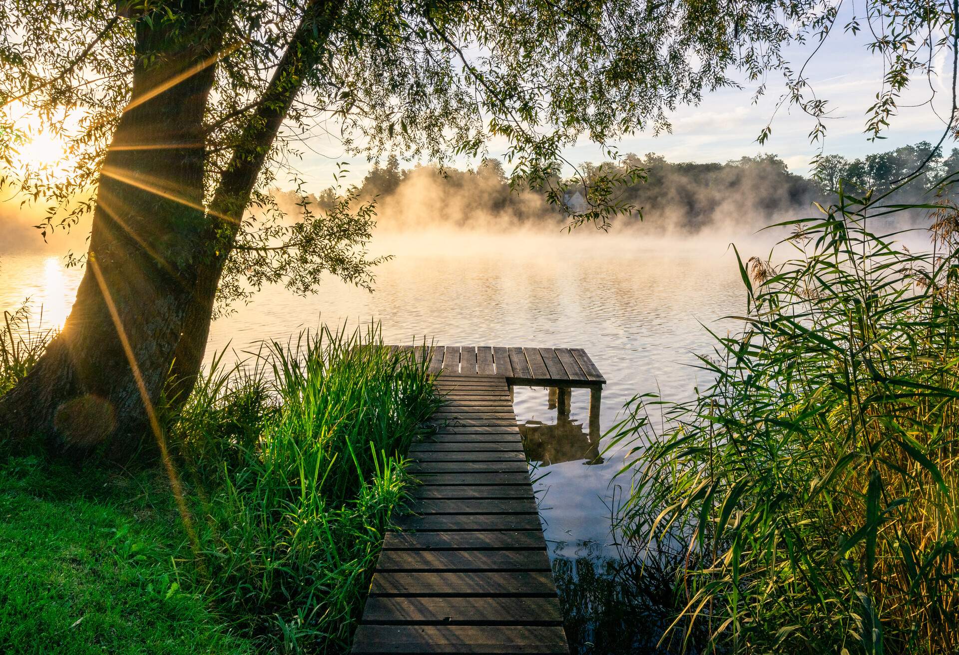 Sunrise at a little lake in Wessling, Starnberg, Upper Bavaria, Germany.