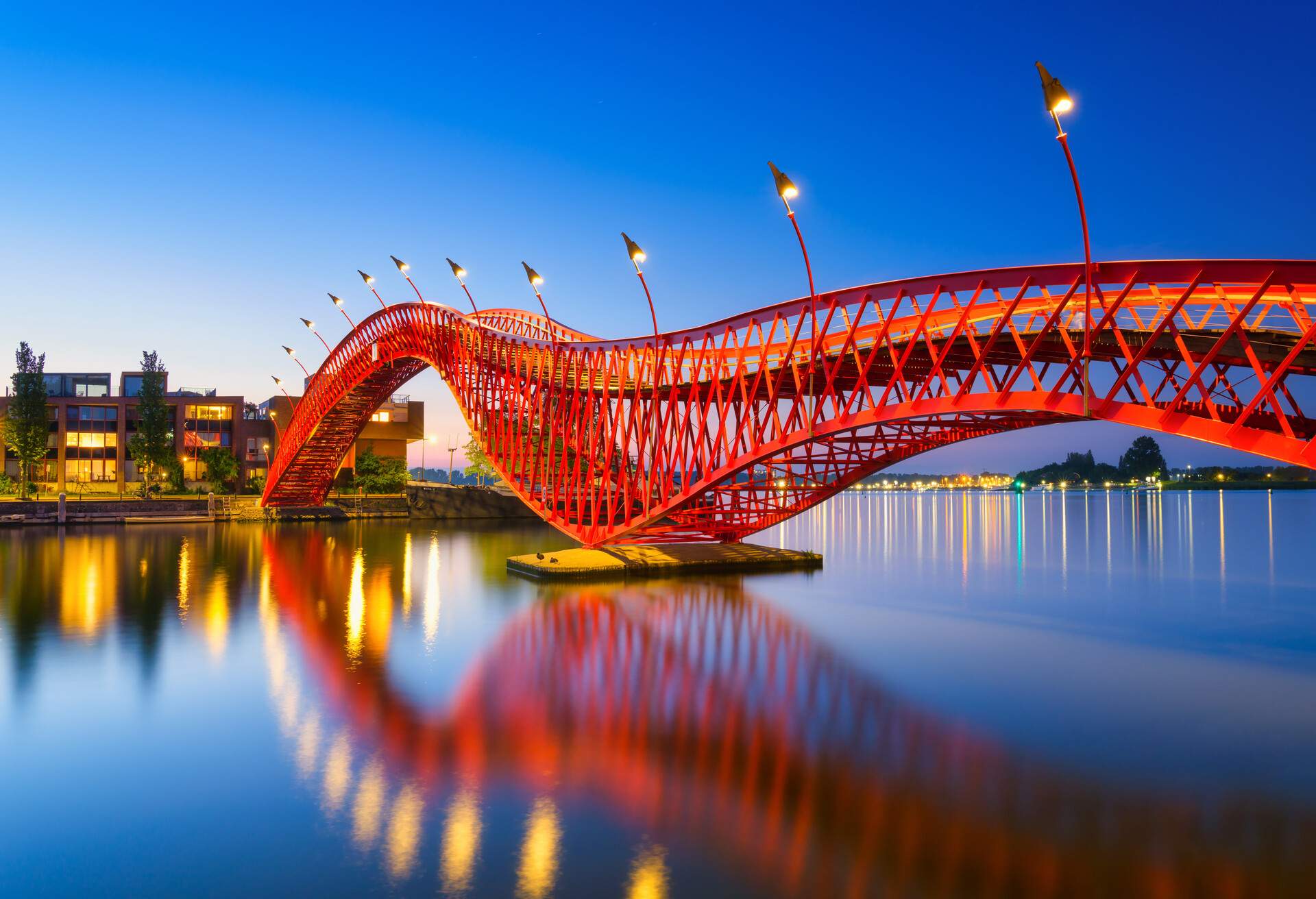 A bridge in the city at night. The bridge on the blue sky background during the blue hour. Architecture and design. The Python Bridge, Amsterdam, the Netherlands.