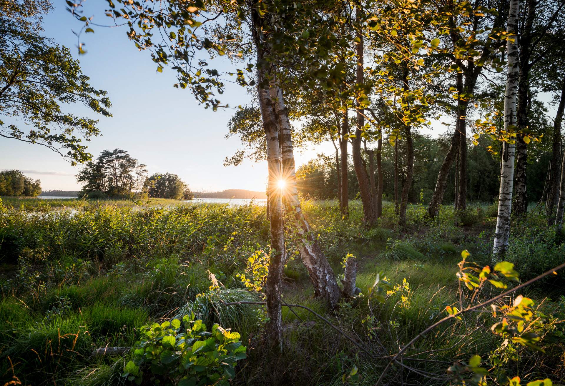 DEST_SWEDEN_LAKE_BOLMEN_GettyImages-919446888