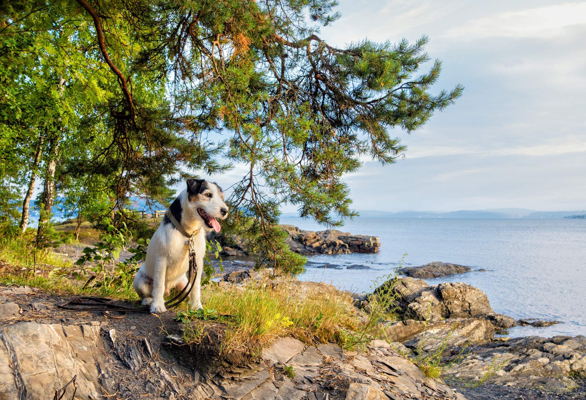 DEST_NORWAY_OSLO_BYGDØY-GettyImages-504819815