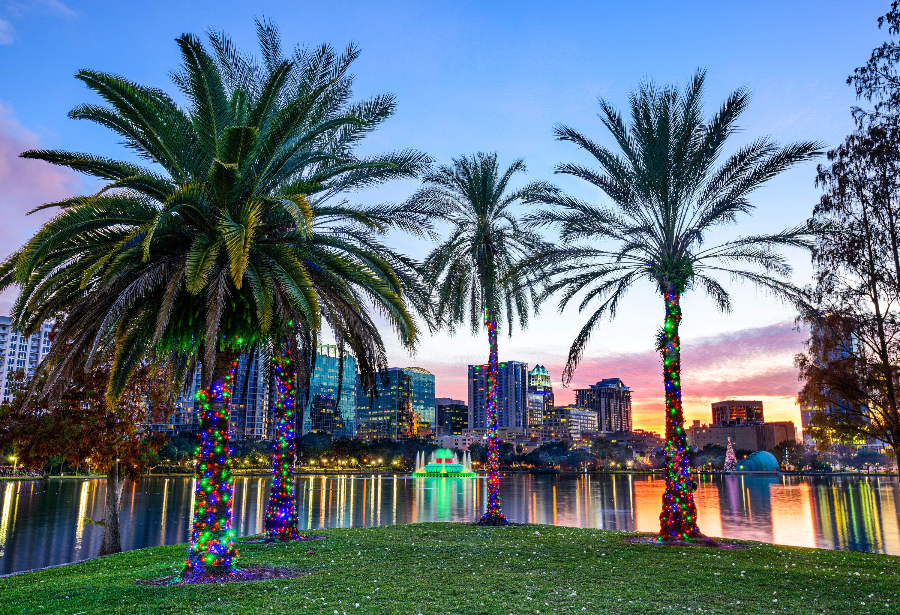 Tall trees with colourful led lights in the meadow by the lake that reflects the brightly lit urban cityscape at twilight.