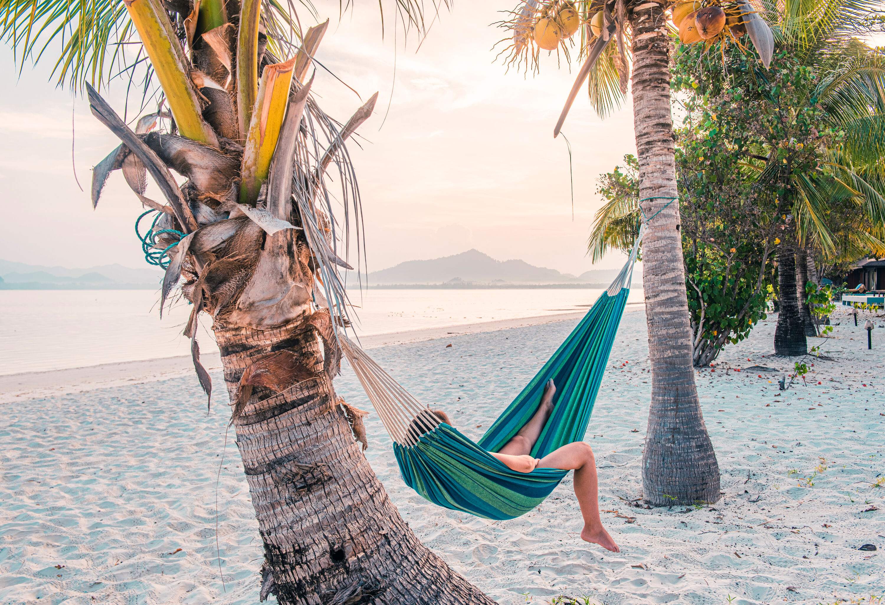 A person rests on a hammock tied on palm trees in a beach.