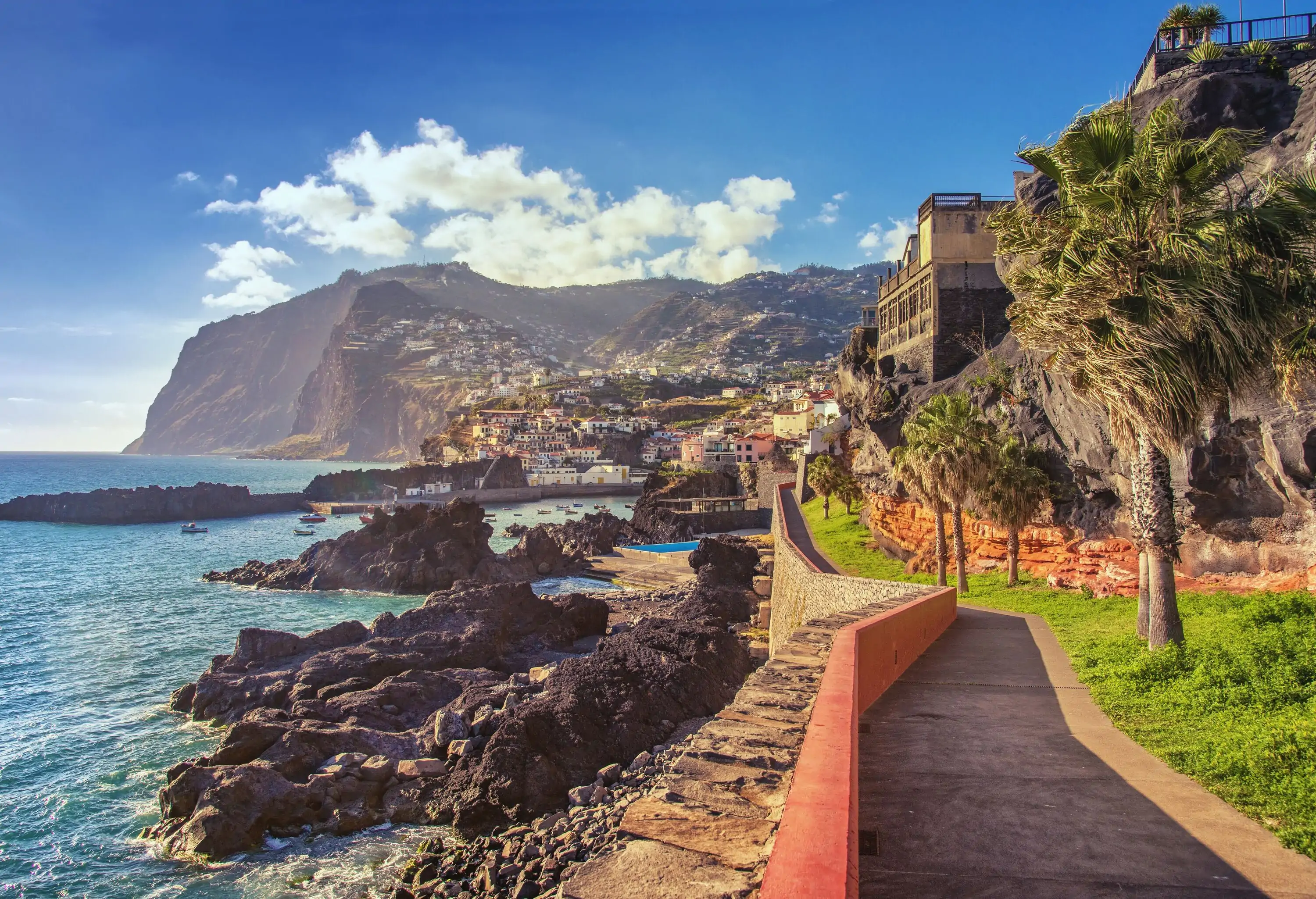 A narrow walkway bordered with trees that runs along the ocean's rough coastline.