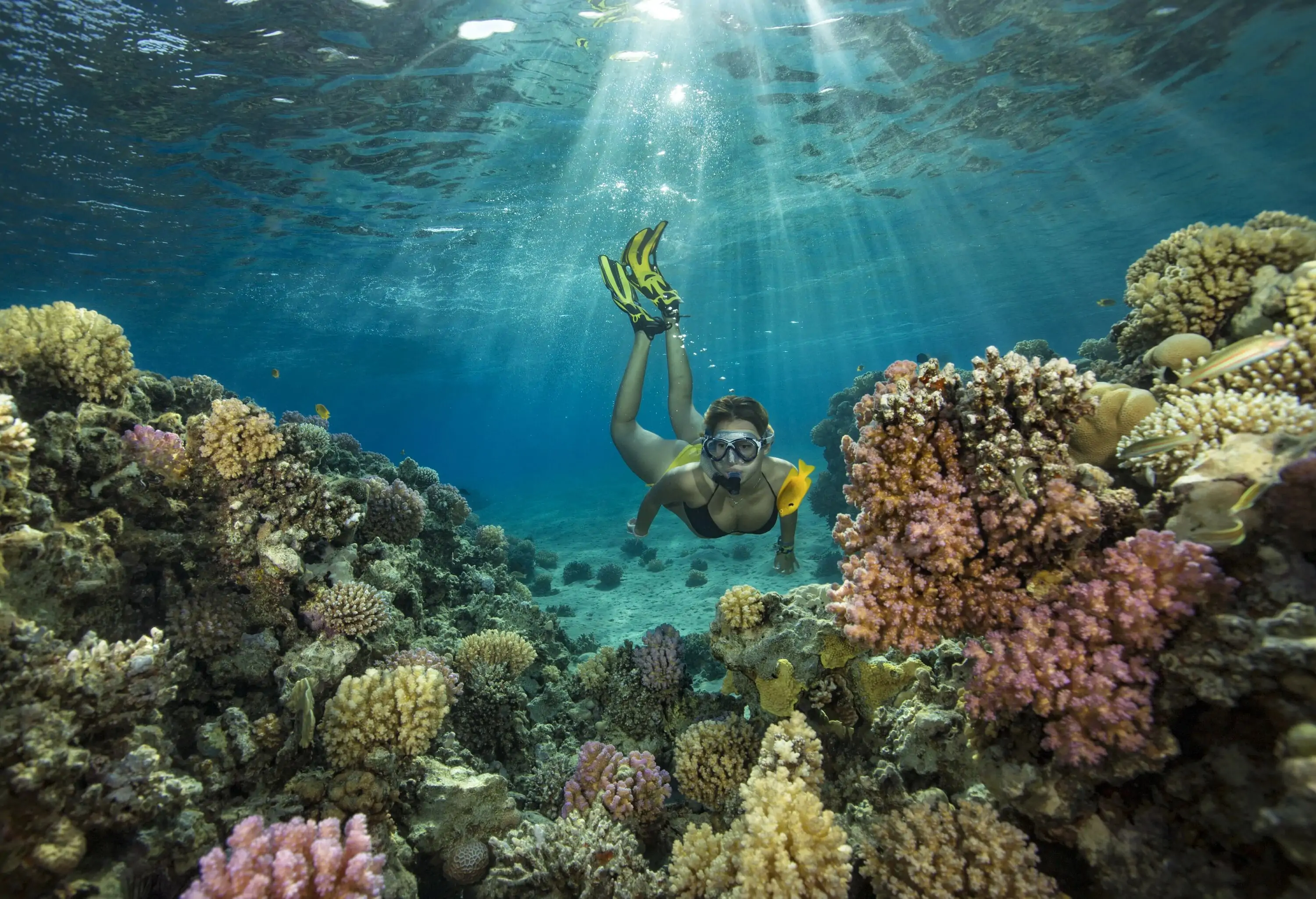 A woman in a bathing suit snorkels underwater amongst the colourful coral reefs as the sunlight glistens from the water's surface.