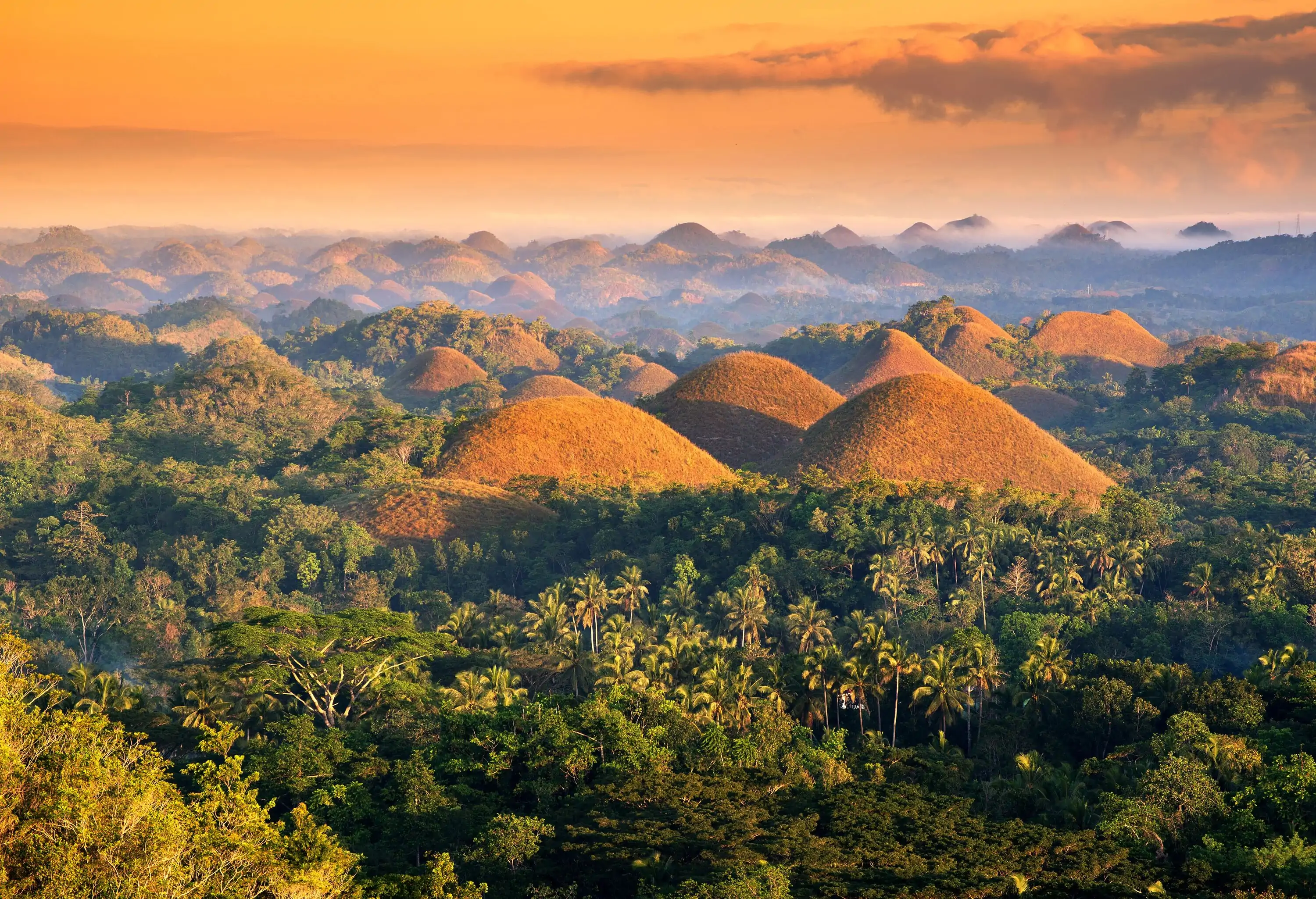 The famous Chocolate Hills is a landscape of brown hills spread over a vast land against a scenic sunset.