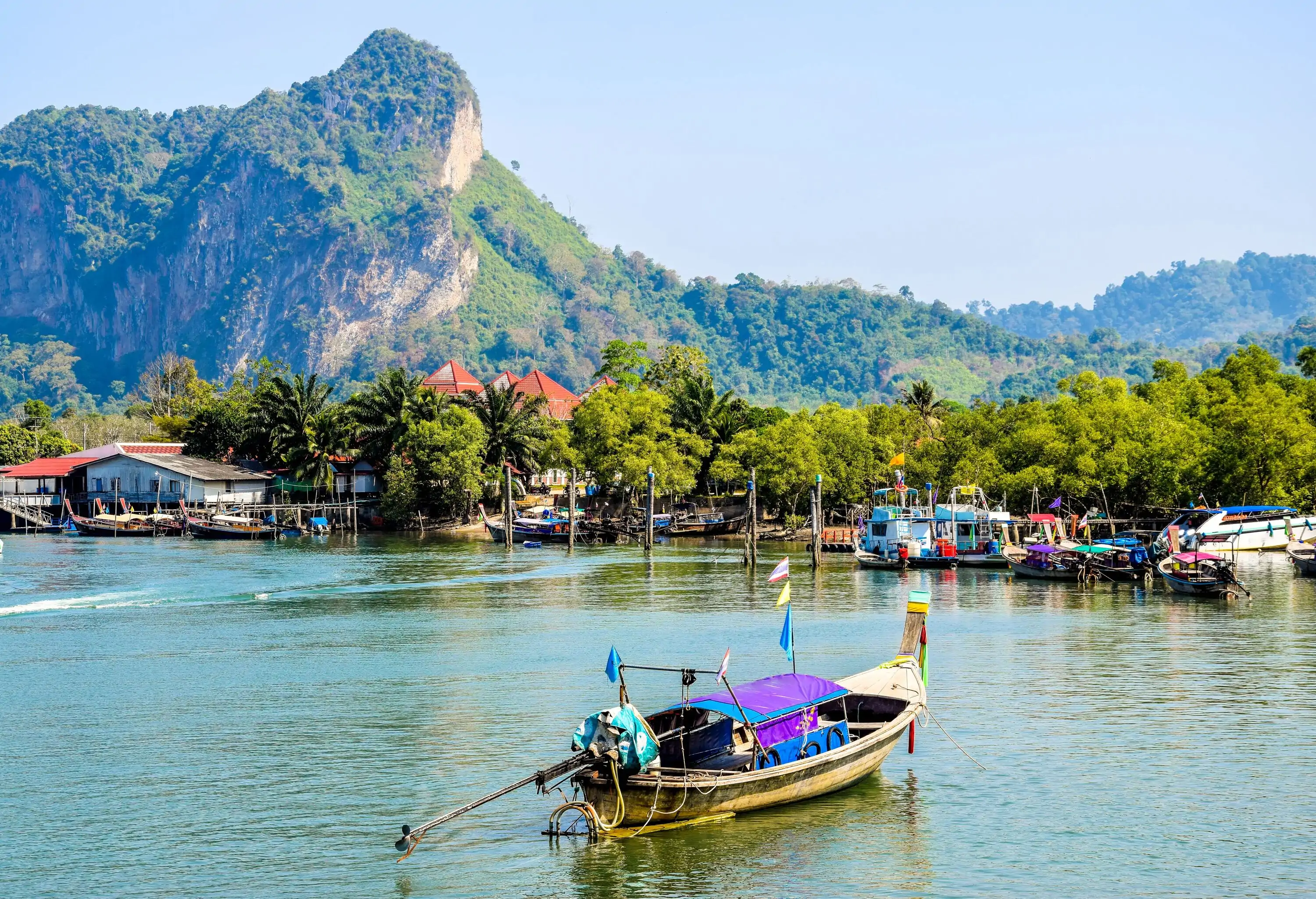 Several boats docked on the pier among the lush green trees at the foot of an imposing mountain.