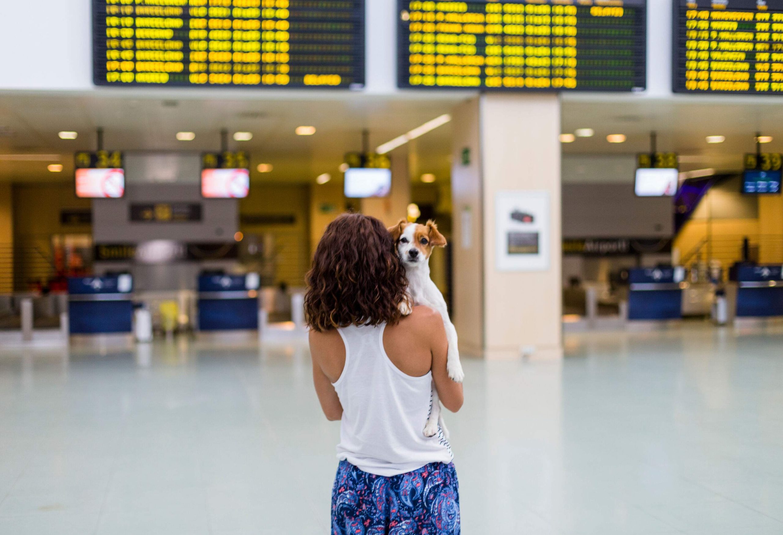 A female traveller carries her white dog inside the airport.