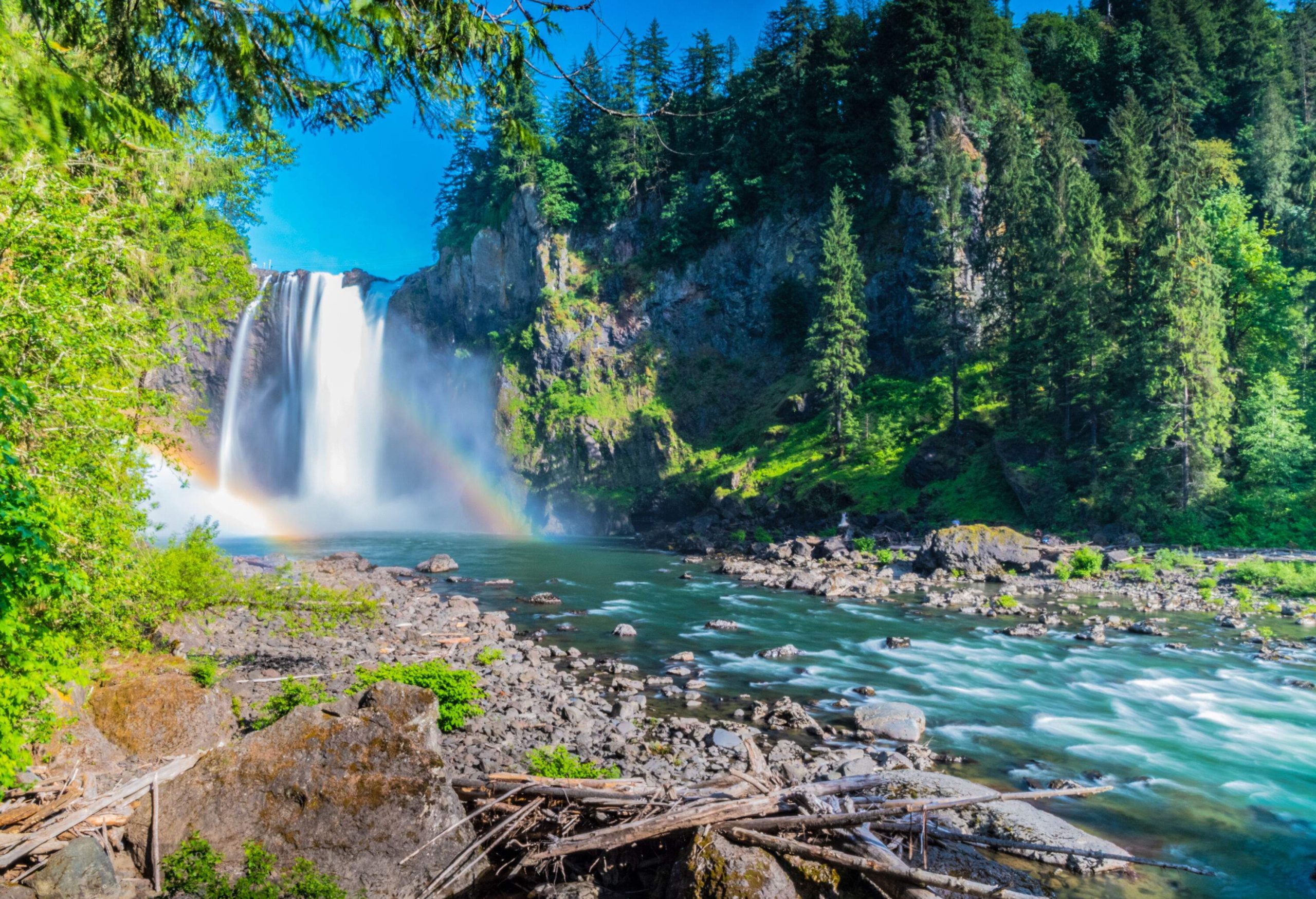 A rocky stream across a lush forest with views of a raging waterfall in the background.