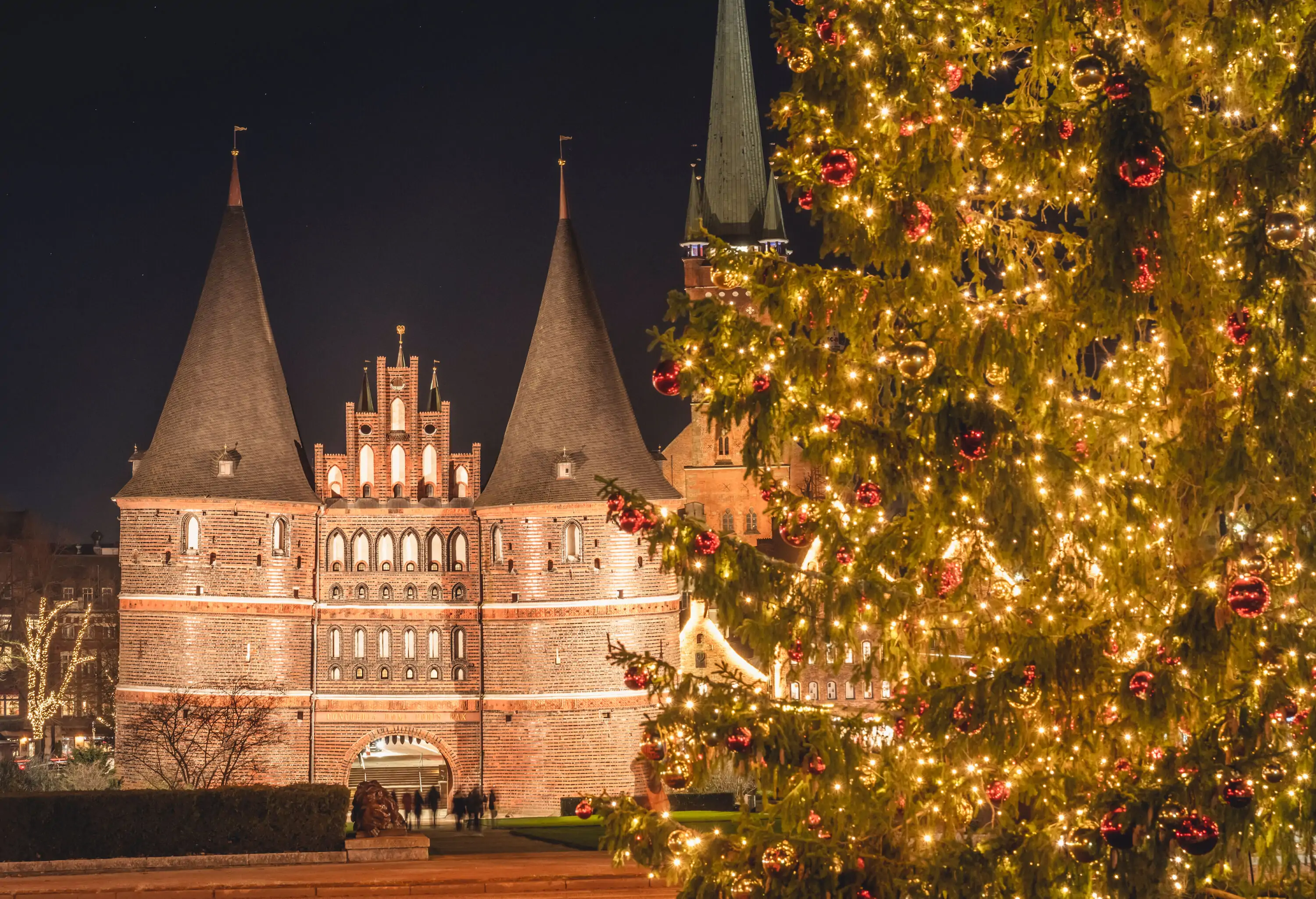 View of huge Christmas tree in the foreground with castle illuminated at night by Christmas decorations