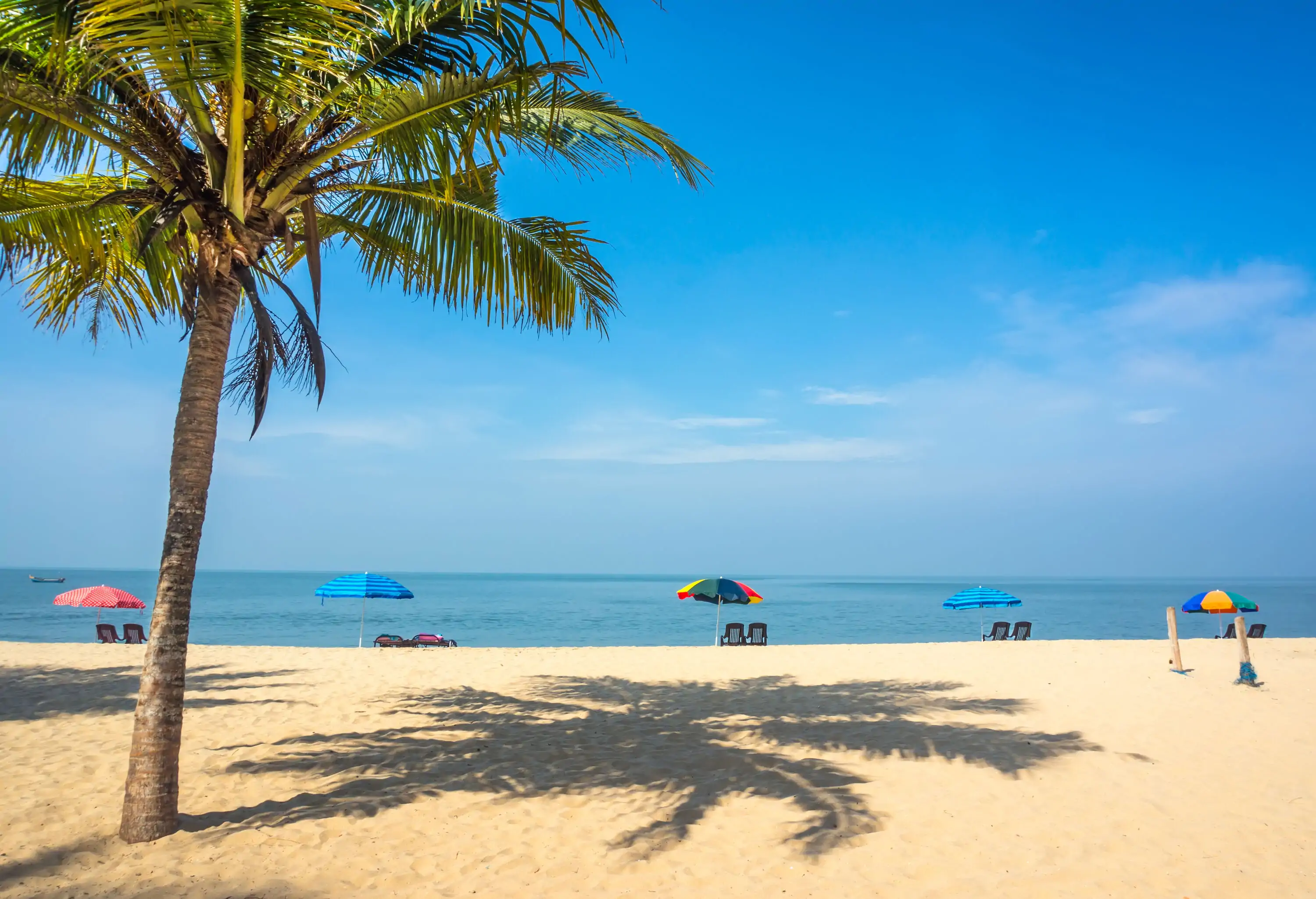 A graceful palm tree sways in the foreground, while in the background, a stunning view of a white sand beach with sun loungers sheltered by colourful parasols.