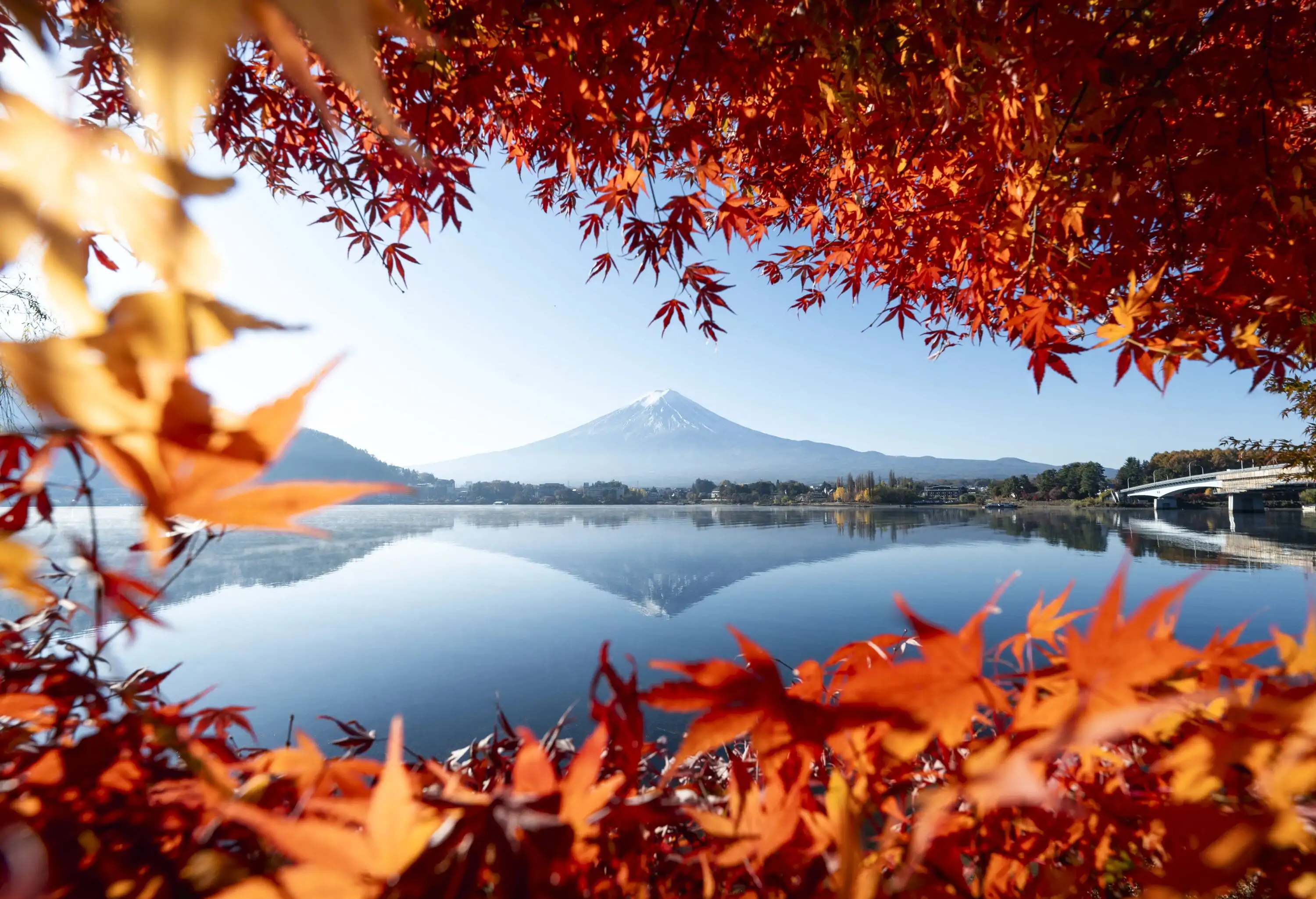 White mountains blue sky and red leaves