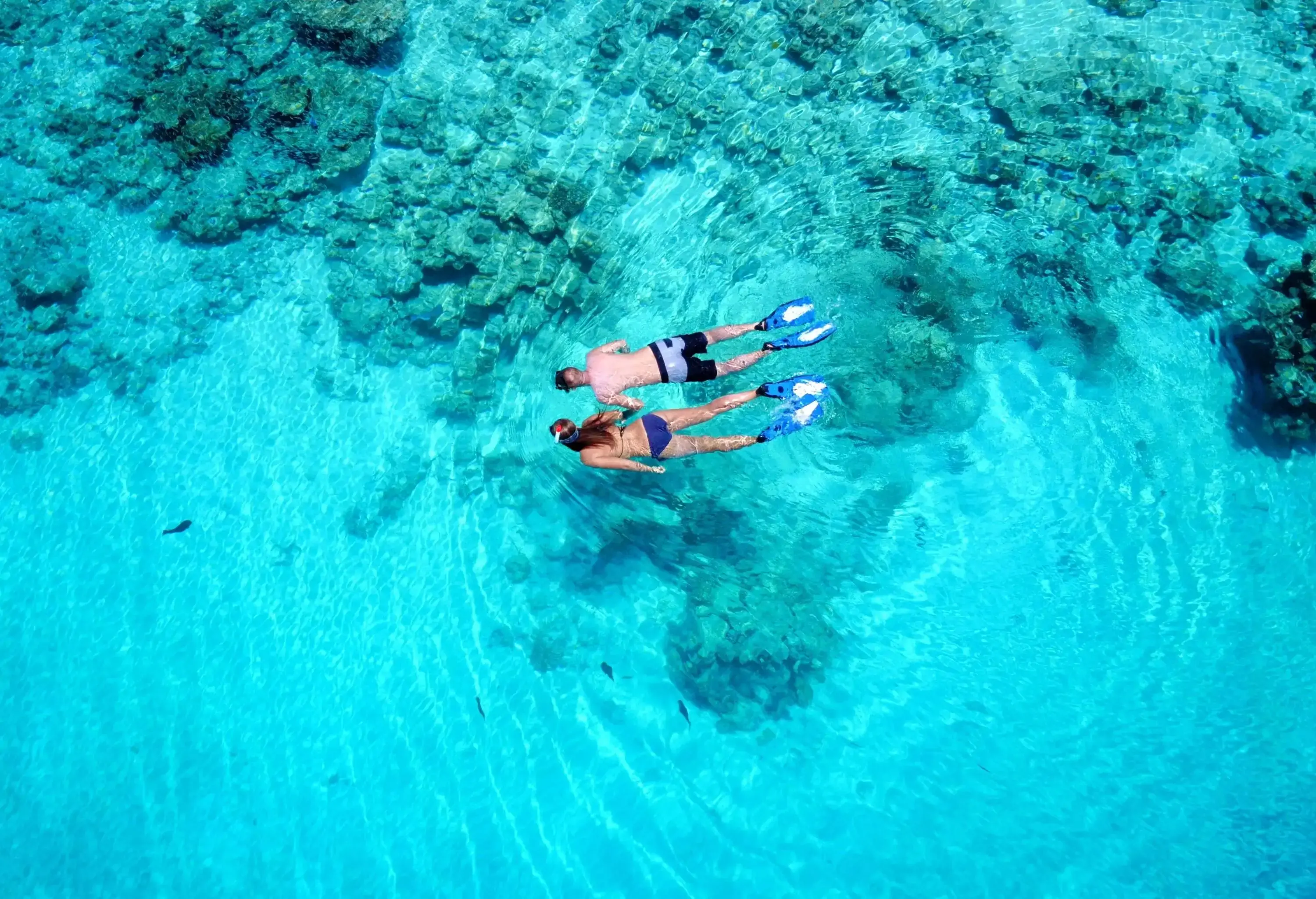 A couple in swimwear snorkels together above a coral reef in the clear ocean waters.