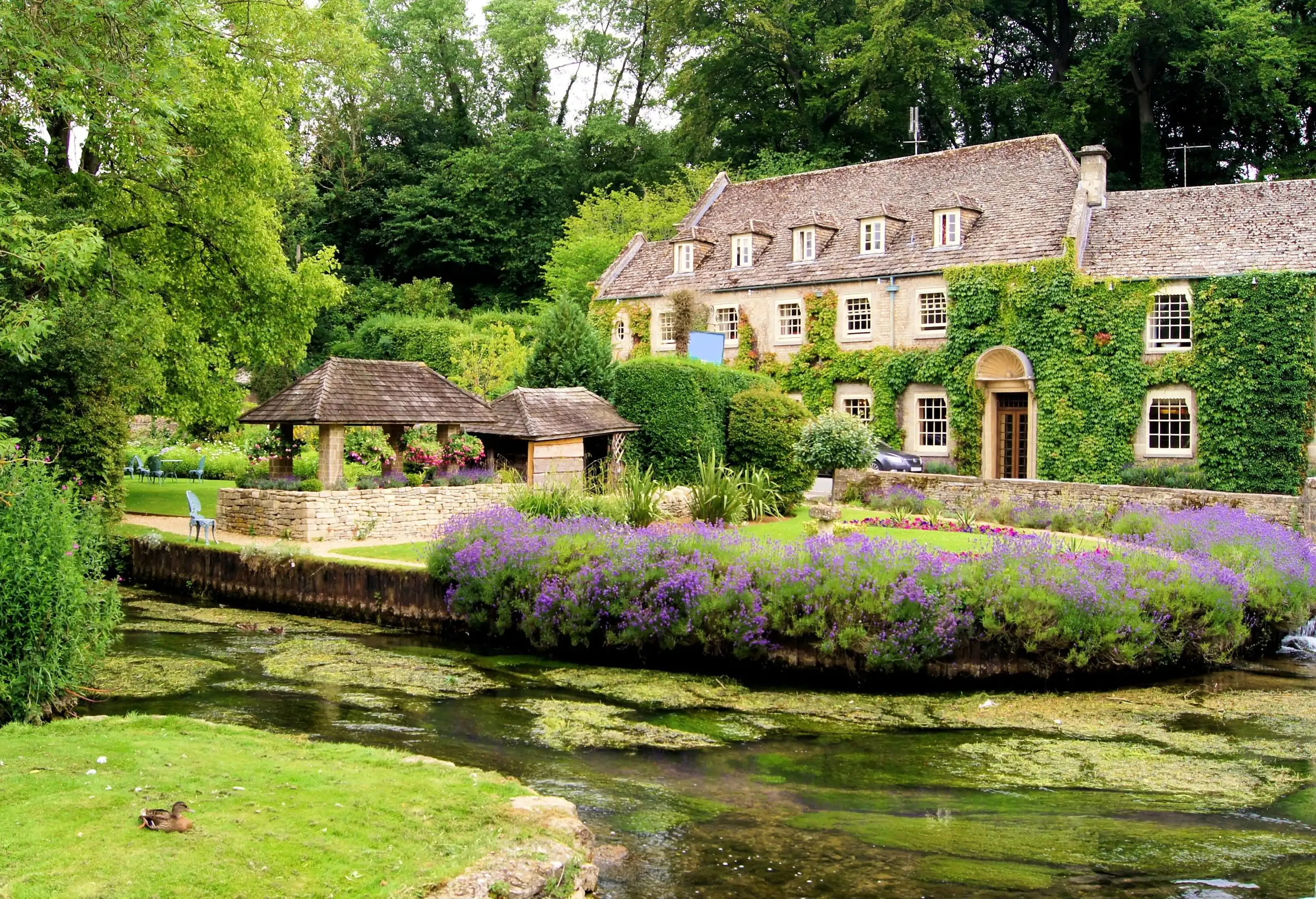 Blooming plants in a garden surrounded by trees and vegetation, close to a pond and an ivy-covered house.