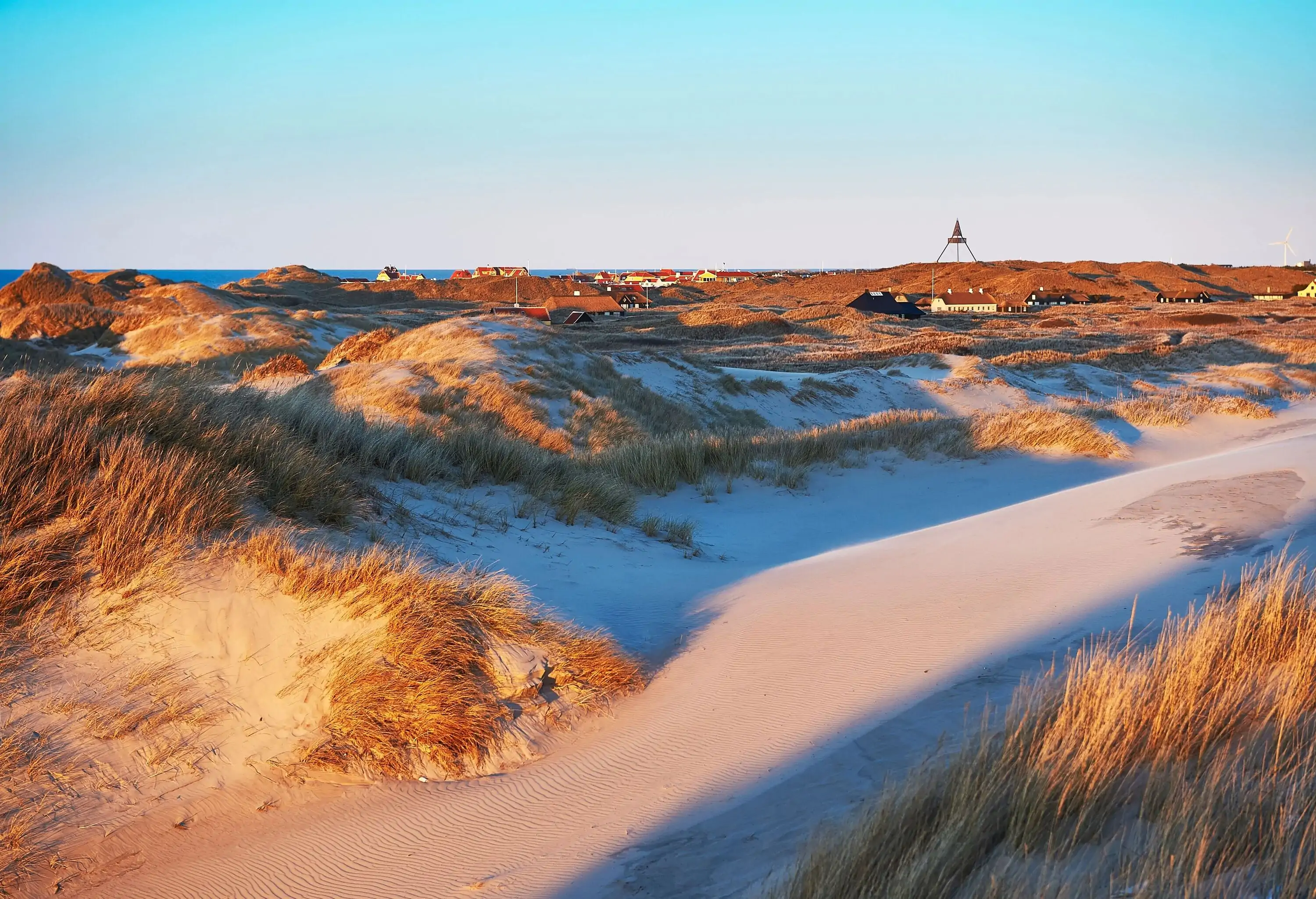 Low mounds of sand on the shore sparsely covered with tall beach grass.